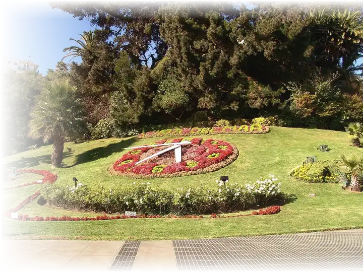Reloj de Flores